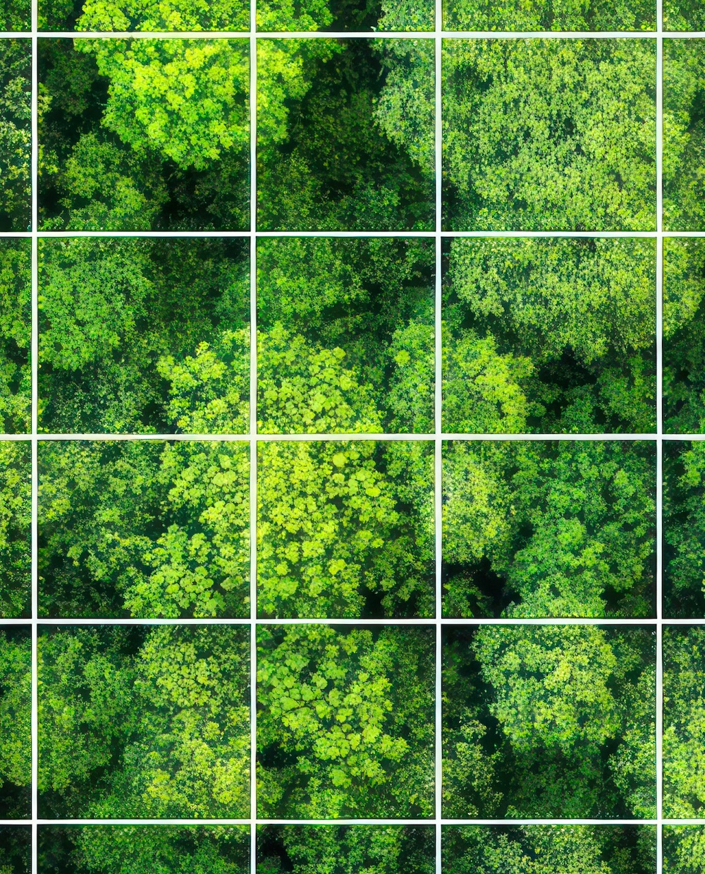 This image for Image Layouts addon